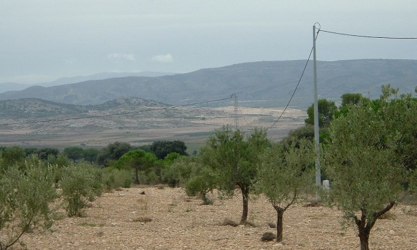 Återförsäljning - Vomt Mark -
Biar