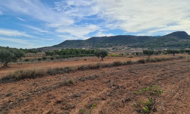 Sale - Plot Land -
Pinoso