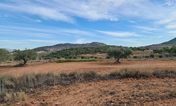 Sale - Plot Land -
Pinoso