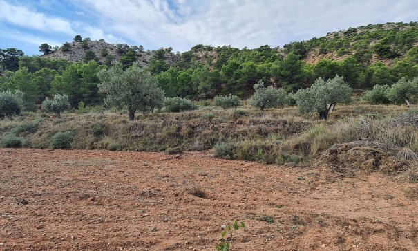 Sale - Plot Land -
Pinoso