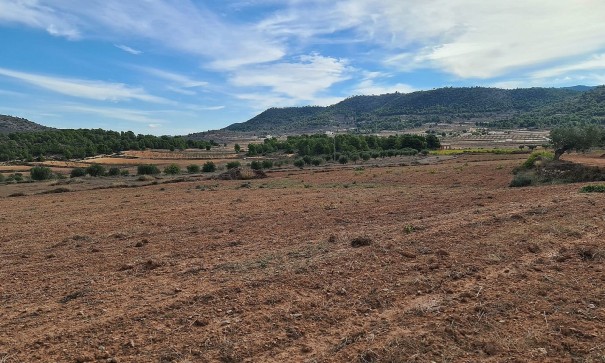 Sale - Plot Land -
Pinoso