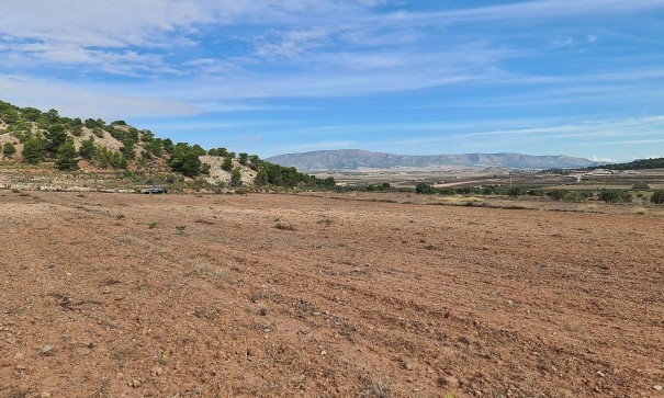 Sale - Plot Land -
Pinoso
