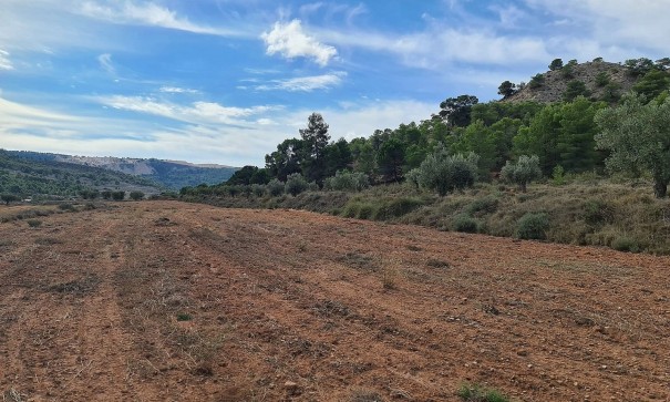 Sale - Plot Land -
Pinoso