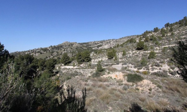 Återförsäljning - Fristående villa -
Petrer