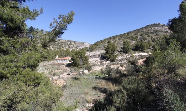 Återförsäljning - Fristående villa -
Petrer