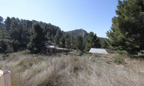 Återförsäljning - Fristående villa -
Petrer