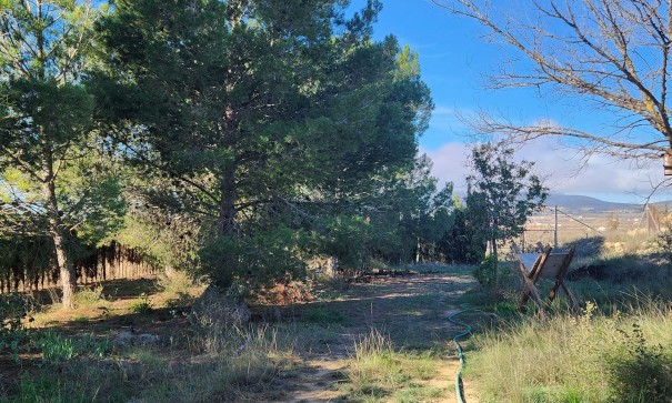 Videresalg - Finca landejendom -
Pinoso