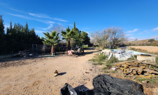 Videresalg - Finca landejendom -
Pinoso