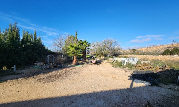 Videresalg - Finca landejendom -
Pinoso