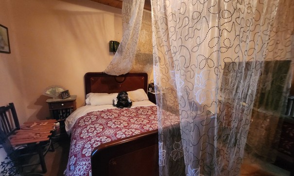 Videresalg - Finca landejendom -
Pinoso