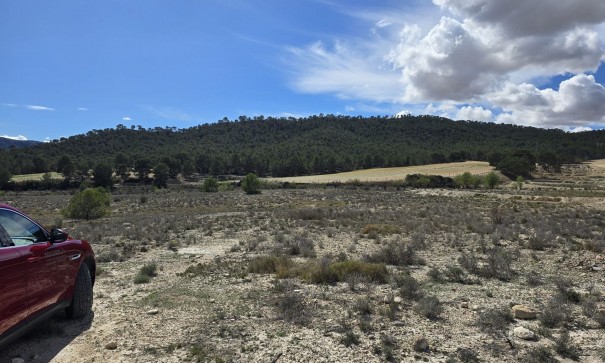 Resale - Grundstück Grundstück -
Salinas