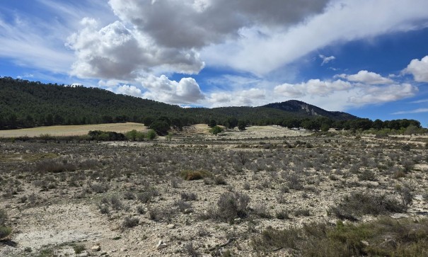 Resale - Grundstück Grundstück -
Salinas