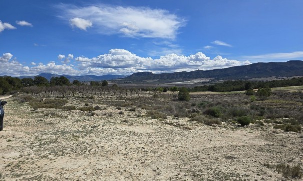 Resale - Grundstück Grundstück -
Salinas