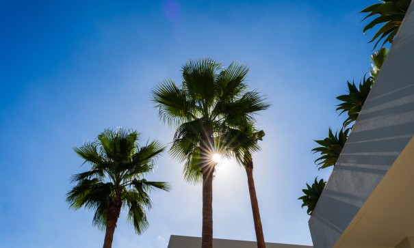 Revente - Villa Individuelle -
Las Colinas - Las Colinas Golf Resort