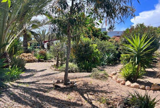 Herverkoop - Finca Landelijk pand -
Cartagena