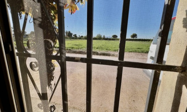 Resale - Freistehende Villa -
Guardamar del Segura