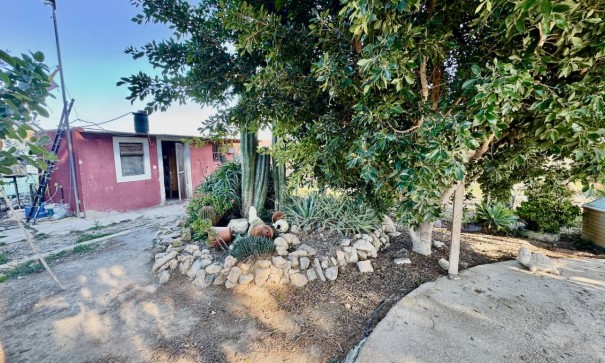 Resale - Freistehende Villa -
Guardamar del Segura