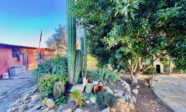 Resale - Freistehende Villa -
Guardamar del Segura