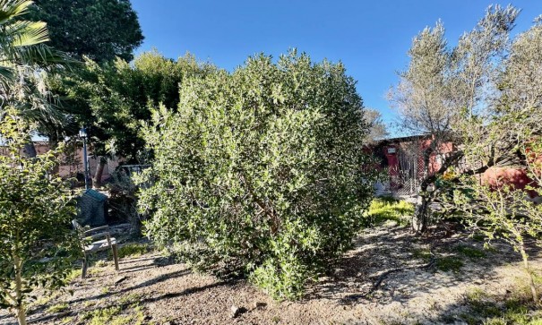 Resale - Freistehende Villa -
Guardamar del Segura