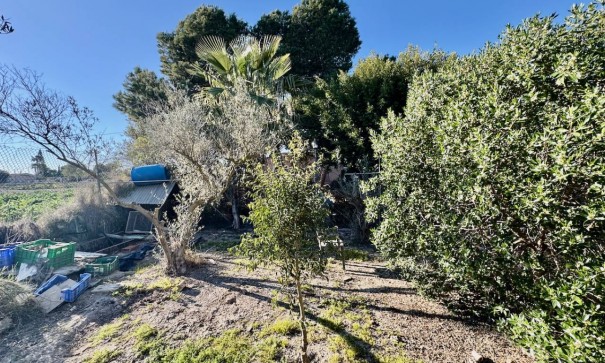 Resale - Freistehende Villa -
Guardamar del Segura