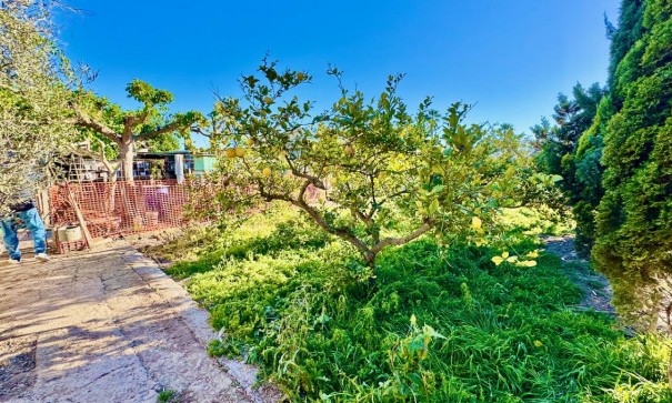 Resale - Freistehende Villa -
Guardamar del Segura