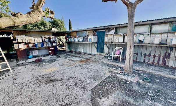 Resale - Freistehende Villa -
Guardamar del Segura