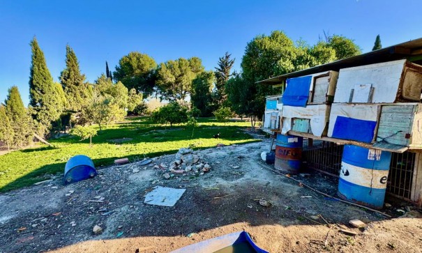 Resale - Freistehende Villa -
Guardamar del Segura