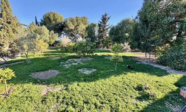 Resale - Freistehende Villa -
Guardamar del Segura