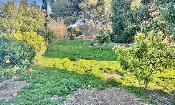 Resale - Freistehende Villa -
Guardamar del Segura