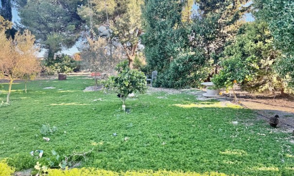 Resale - Freistehende Villa -
Guardamar del Segura