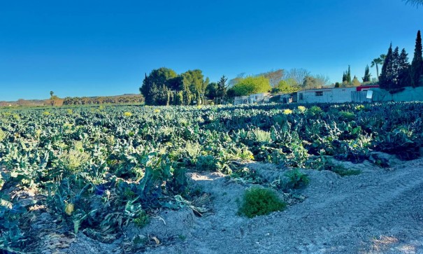 Resale - Freistehende Villa -
Guardamar del Segura