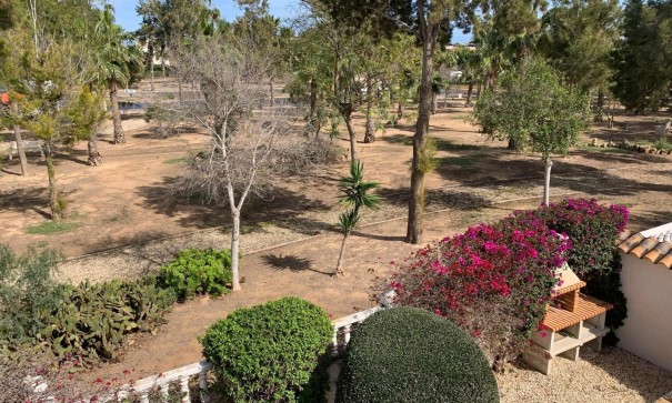 Sale - Detached Villa -
Guardamar del Segura - Guardamar - El Raso