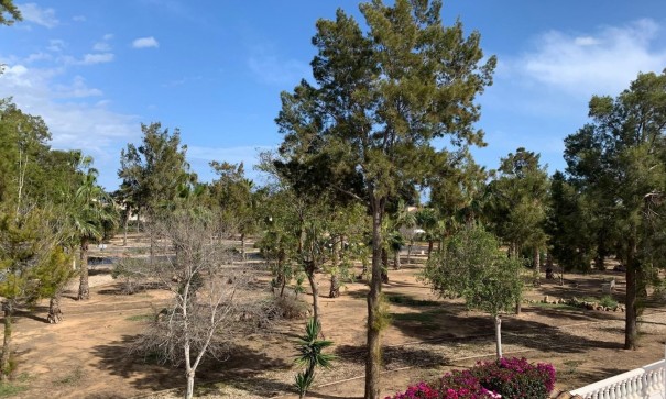 Sale - Detached Villa -
Guardamar del Segura - Guardamar - El Raso