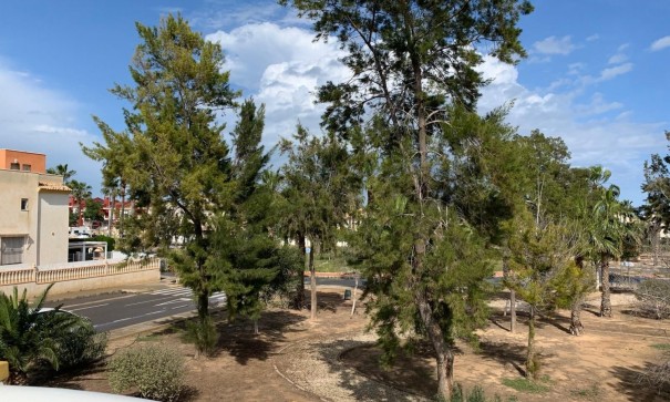 Sale - Detached Villa -
Guardamar del Segura - Guardamar - El Raso