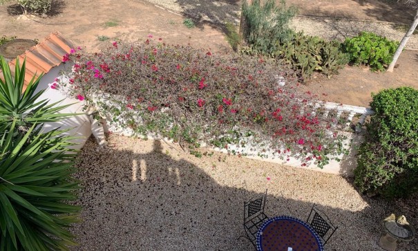 Sale - Detached Villa -
Guardamar del Segura - Guardamar - El Raso