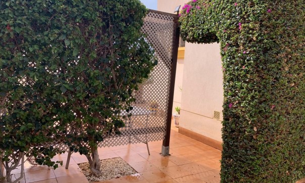 Sale - Detached Villa -
Guardamar del Segura - Guardamar - El Raso