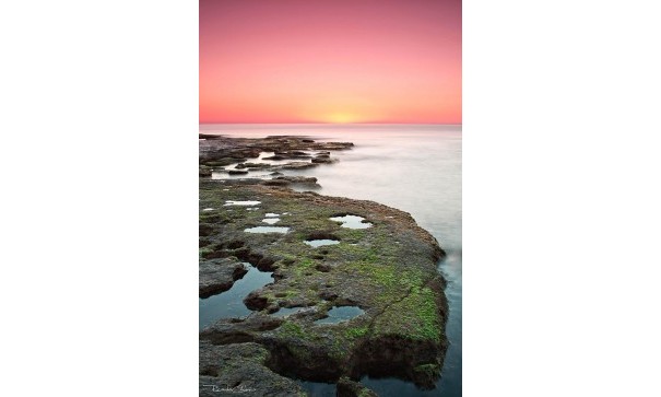 Nybyggd - Lägenhet lägenhet -
Torrevieja - Altos del Sol