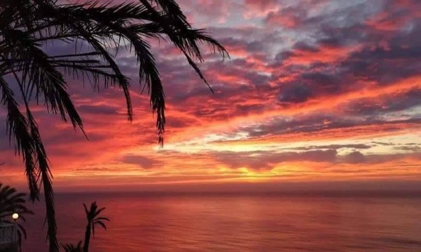 Nybyggd - Lägenhet lägenhet -
Torrevieja - Altos del Sol