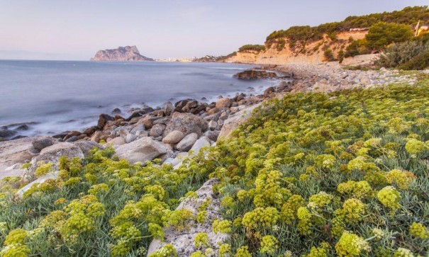 New Build - Detached Villa -
Benissa - Cala Advocat