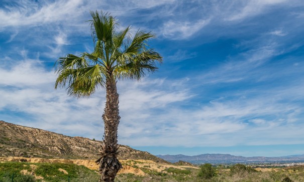 Venta - Apartamento piso -
Algorfa - LA FINCA GOLF / ALGORFA