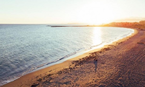 New Build - Apartment Flat -
Almerimar - 1ª Linea De Playa