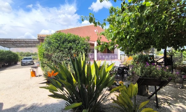 Revente - Finca Propriété rurale -
Orihuela