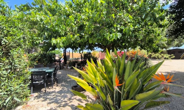 Revente - Finca Propriété rurale -
Orihuela