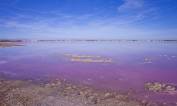 Sale - Detached Villa -
Torrevieja - Los altos