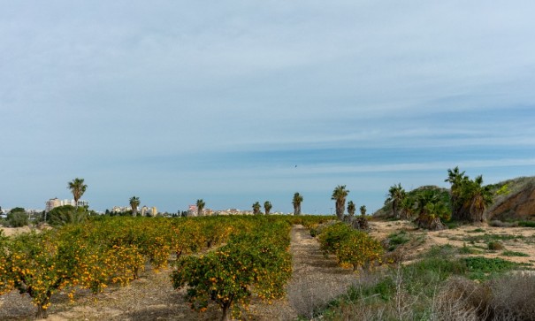 Sale - Detached Villa -
Torrevieja - Los altos