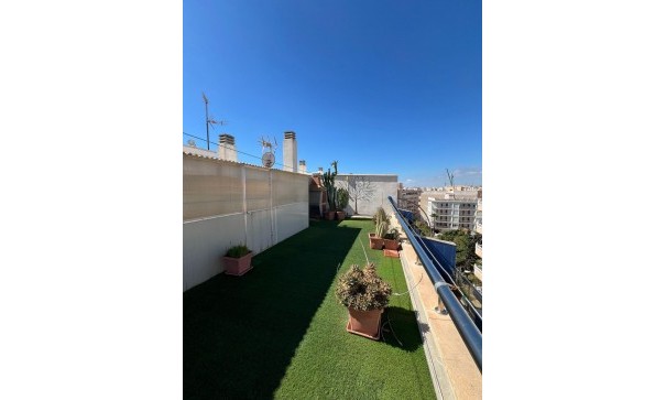 Sale - Apartment Flat -
Torrevieja - Playa de los Locos