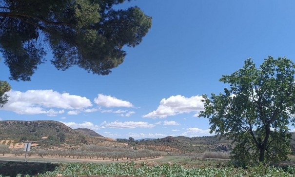 Videresalg - Finca landejendom -
Yecla