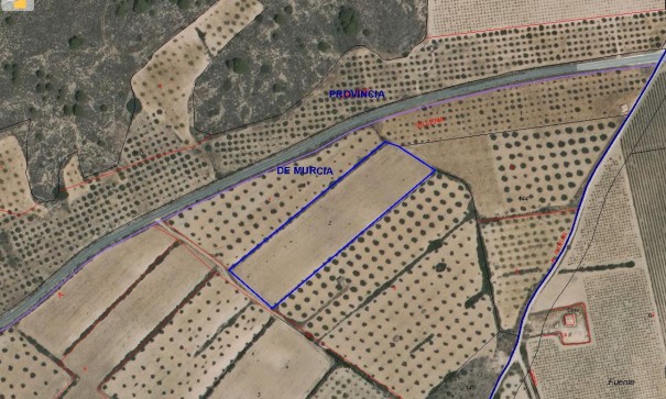 Venta - Parcela Terreno -
Yecla