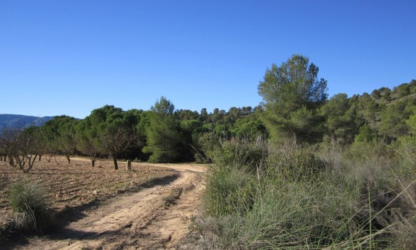 Herverkoop - Perceel Grond -
Yecla