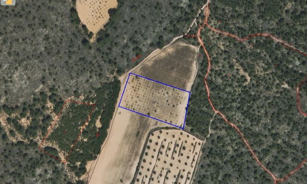 Herverkoop - Perceel Grond -
Yecla